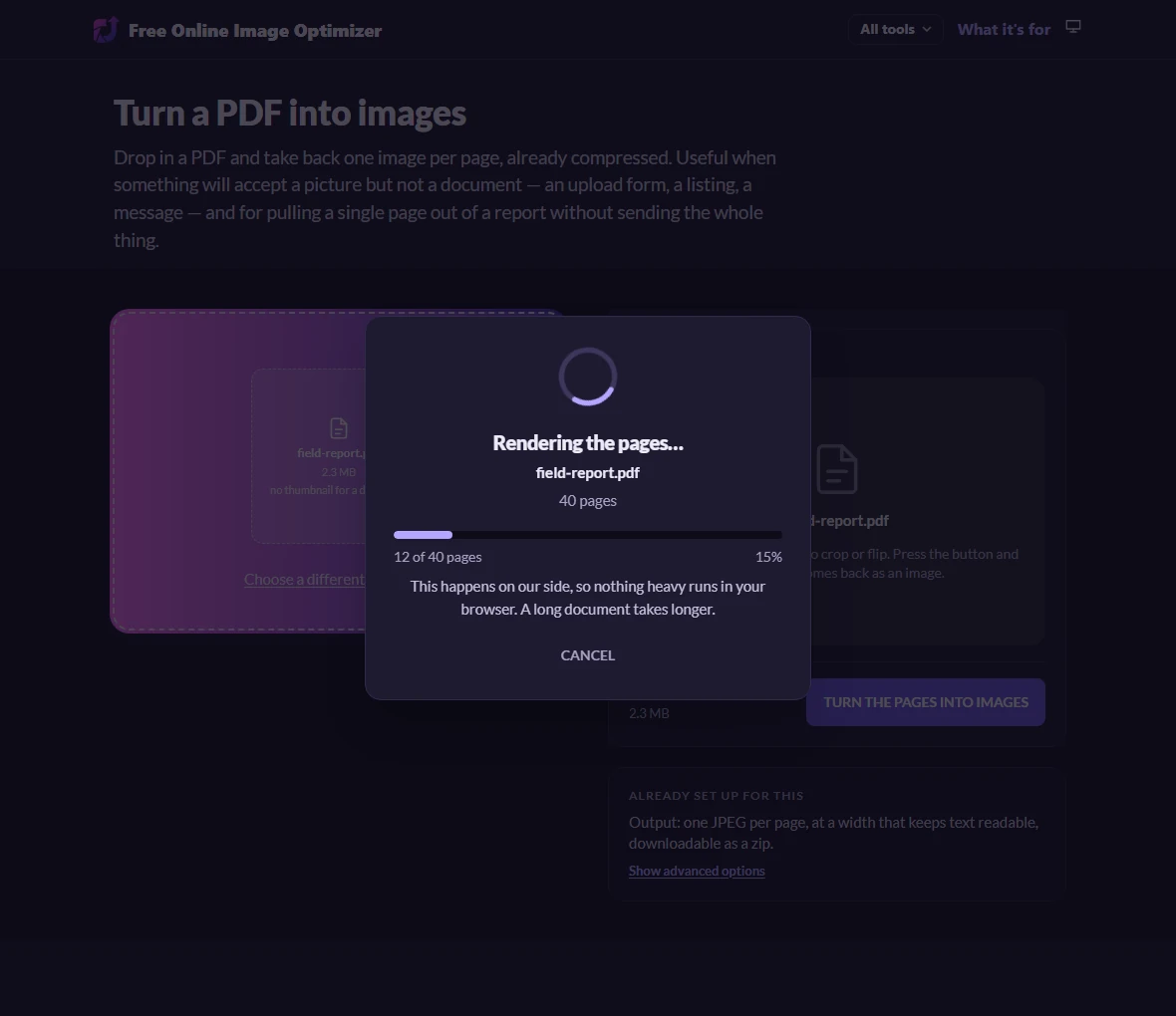A twelve-page PDF called field-report.pdf loaded into the page. The stage shows a document icon and the note "A document has nothing to crop or flip. Press the button and every page comes back as an image." The button reads "Turn the pages into images".